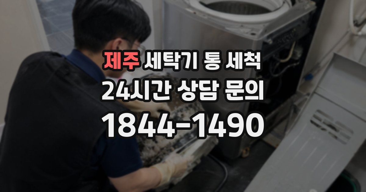 제주 세탁기 통 세척