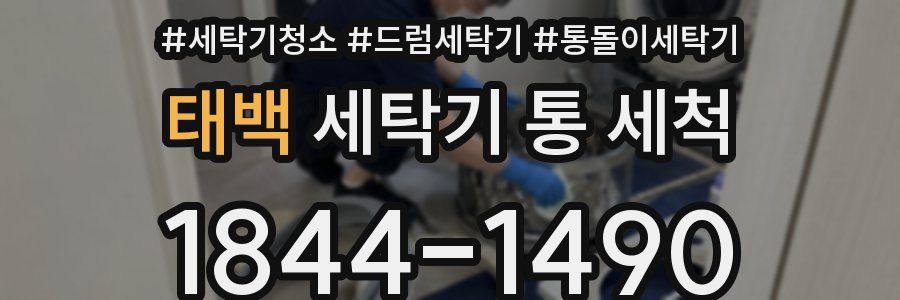 태백 세탁기 통 세척
