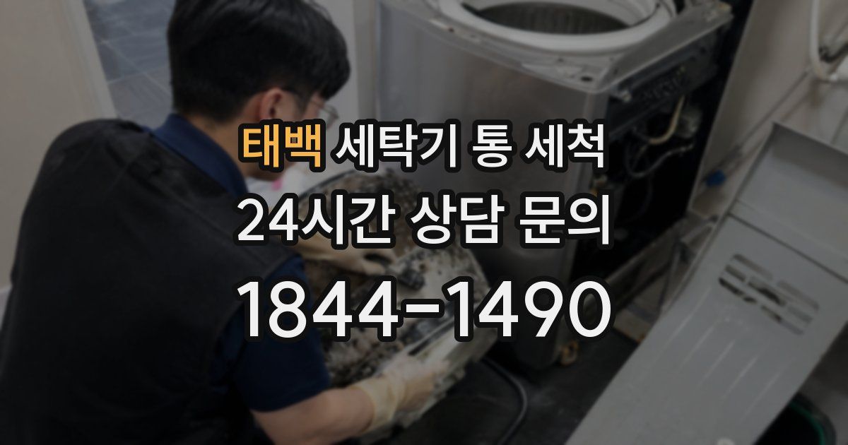 태백 세탁기 통 세척