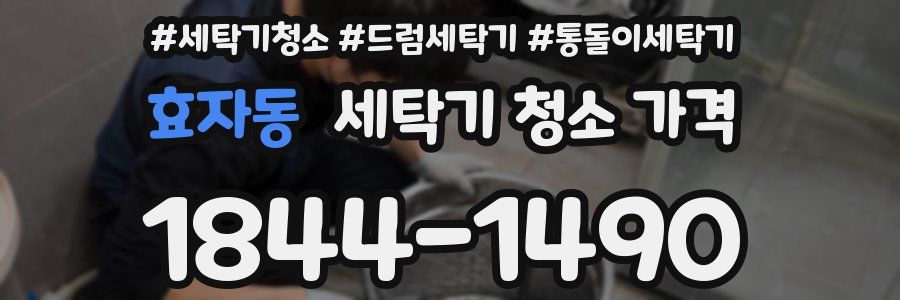 효자동 세탁기 청소 가격
