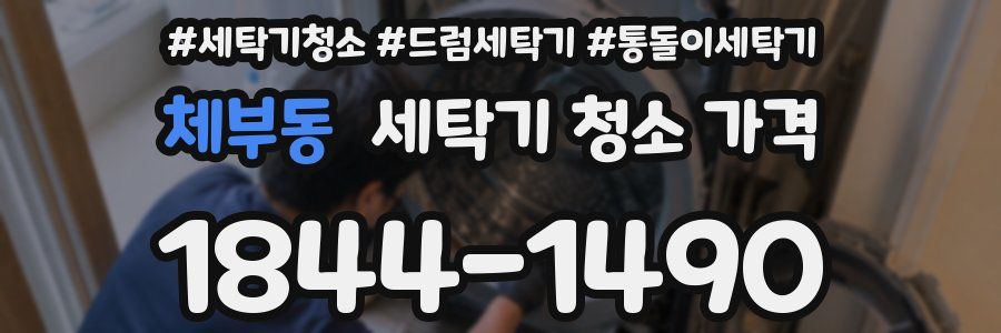 체부동 세탁기 청소 가격
