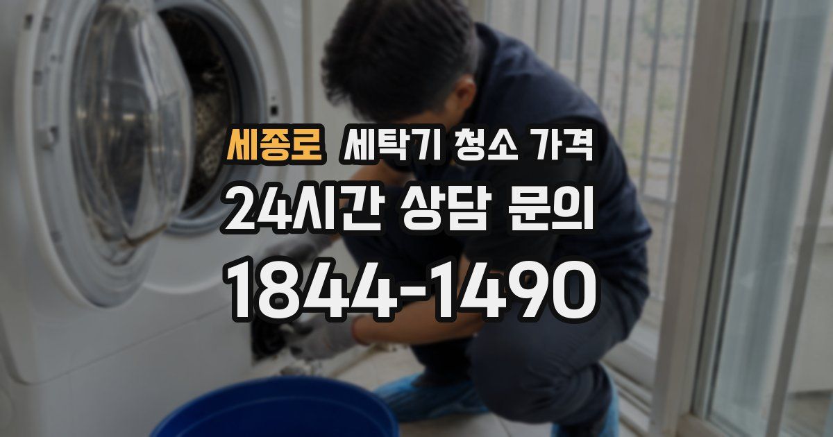 세종로 세탁기 청소 가격