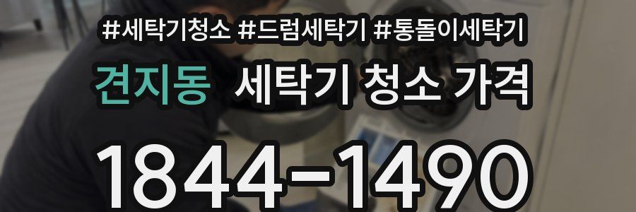 견지동 세탁기 청소 가격