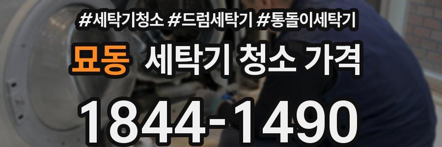 묘동 세탁기 청소 가격