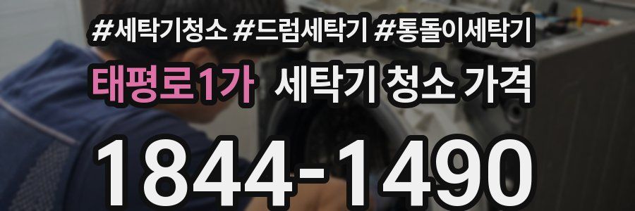태평로1가 세탁기 청소 가격