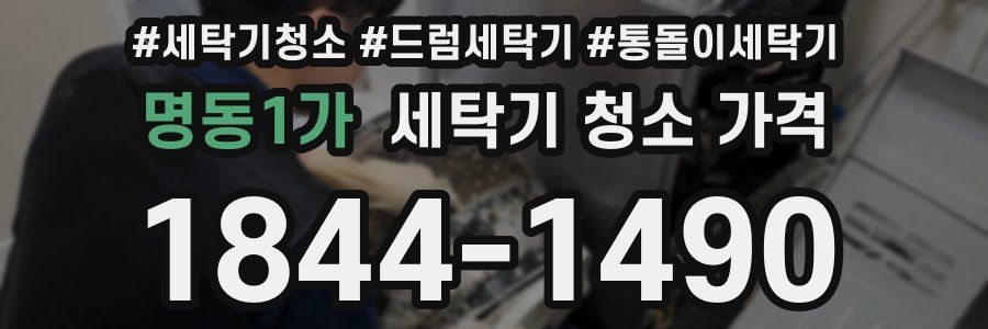 명동1가 세탁기 청소 가격
