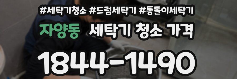 자양동 세탁기 청소 가격