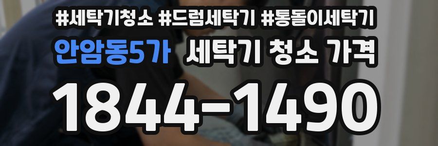 안암동5가 세탁기 청소 가격