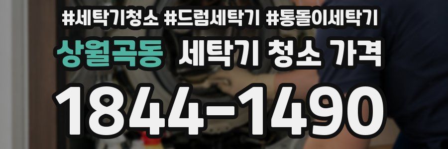 상월곡동 세탁기 청소 가격