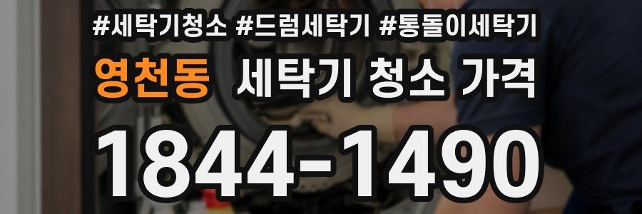 영천동 세탁기 청소 가격