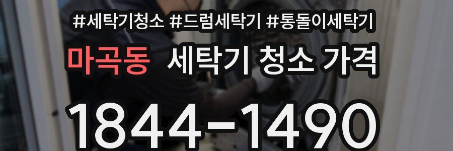 마곡동 세탁기 청소 가격