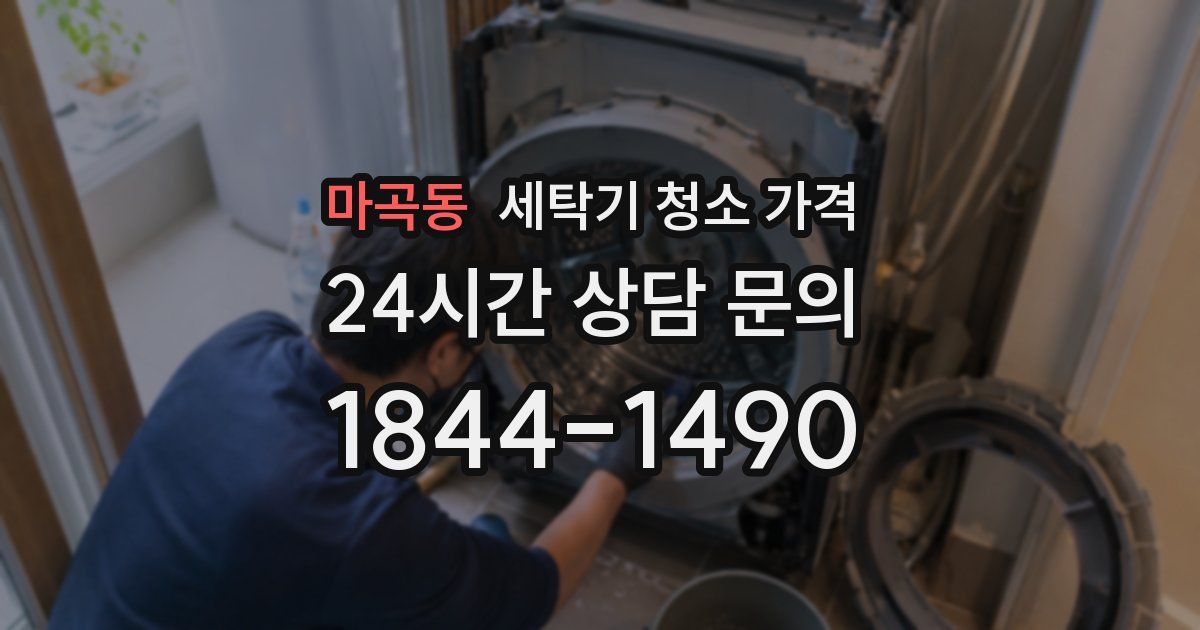 마곡동 세탁기 청소 가격