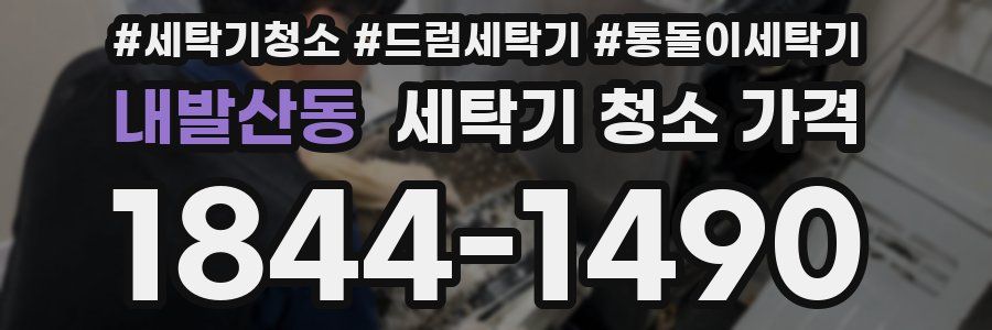 내발산동 세탁기 청소 가격
