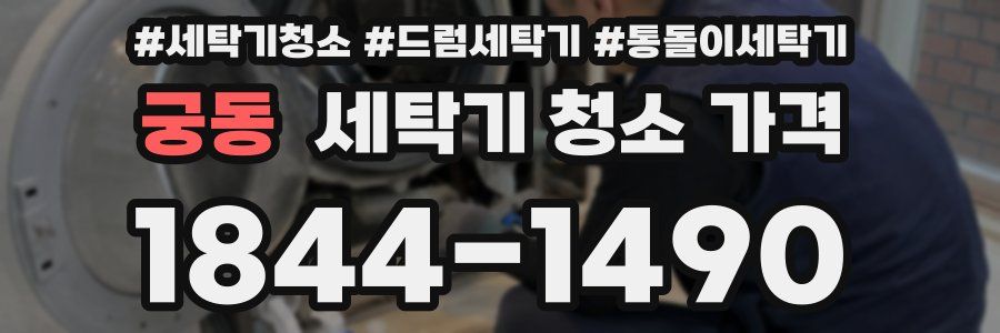 궁동 세탁기 청소 가격