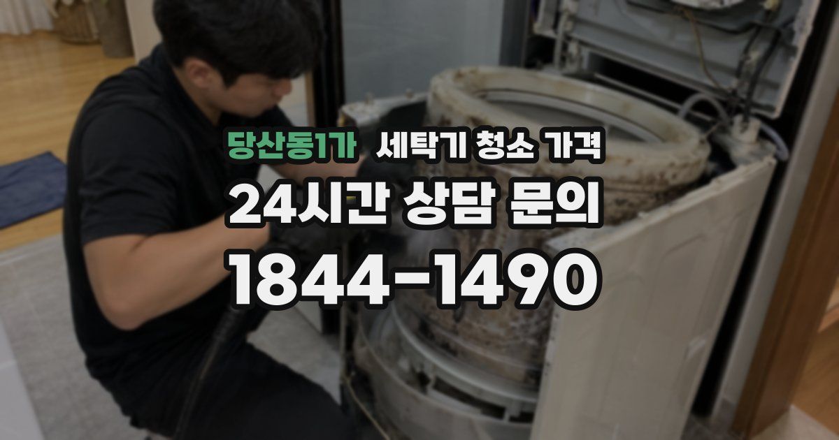 당산동1가 세탁기 청소 가격