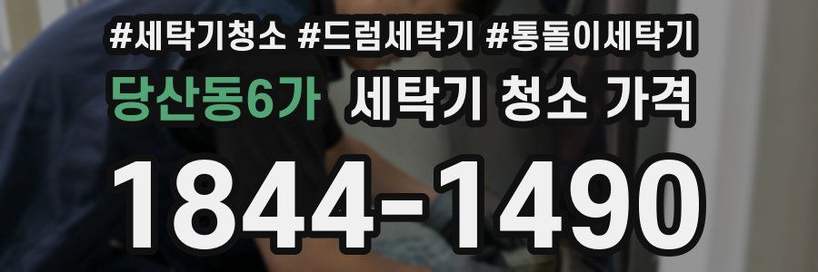 당산동6가 세탁기 청소 가격