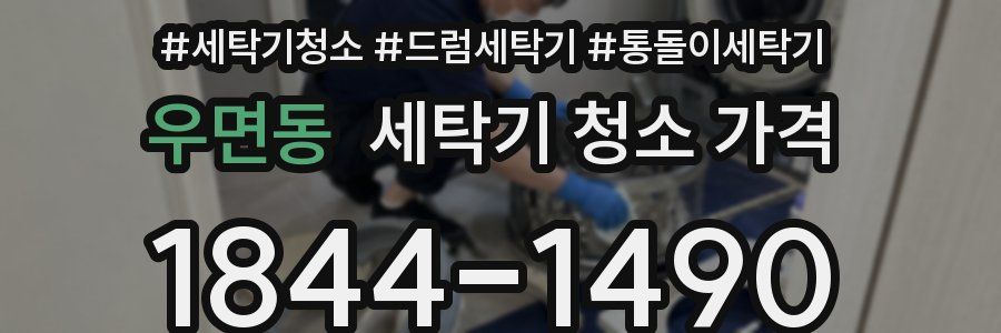 우면동 세탁기 청소 가격