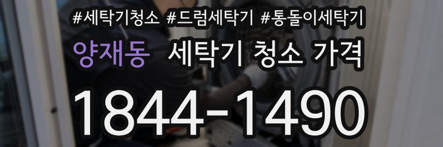 양재동 세탁기 청소 가격