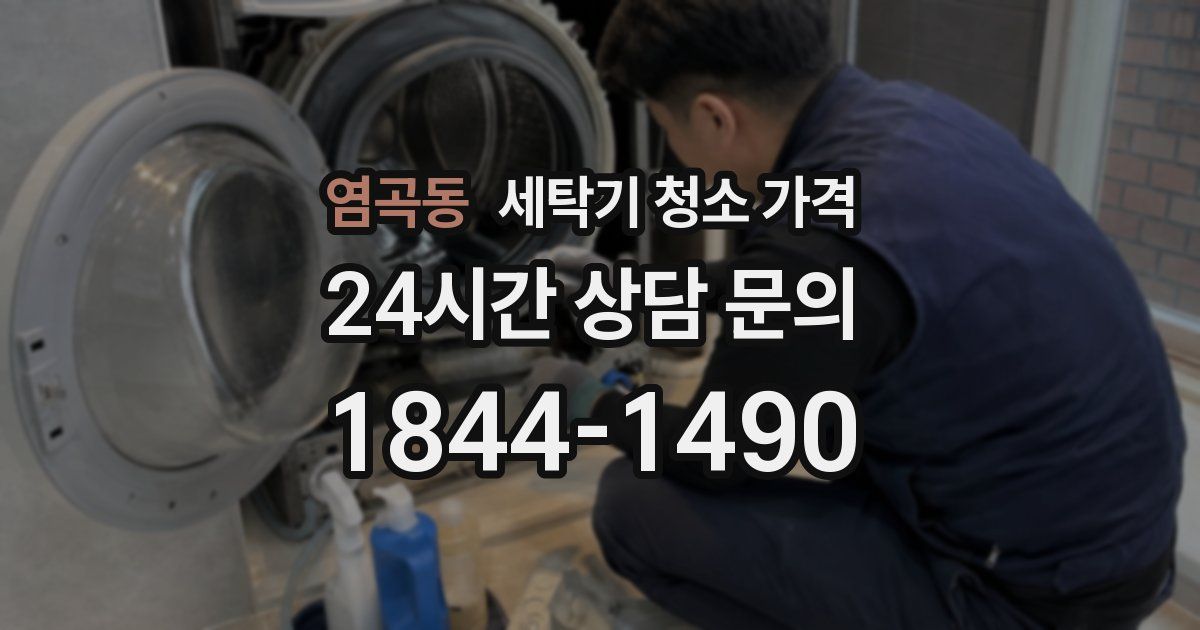 염곡동 세탁기 청소 가격