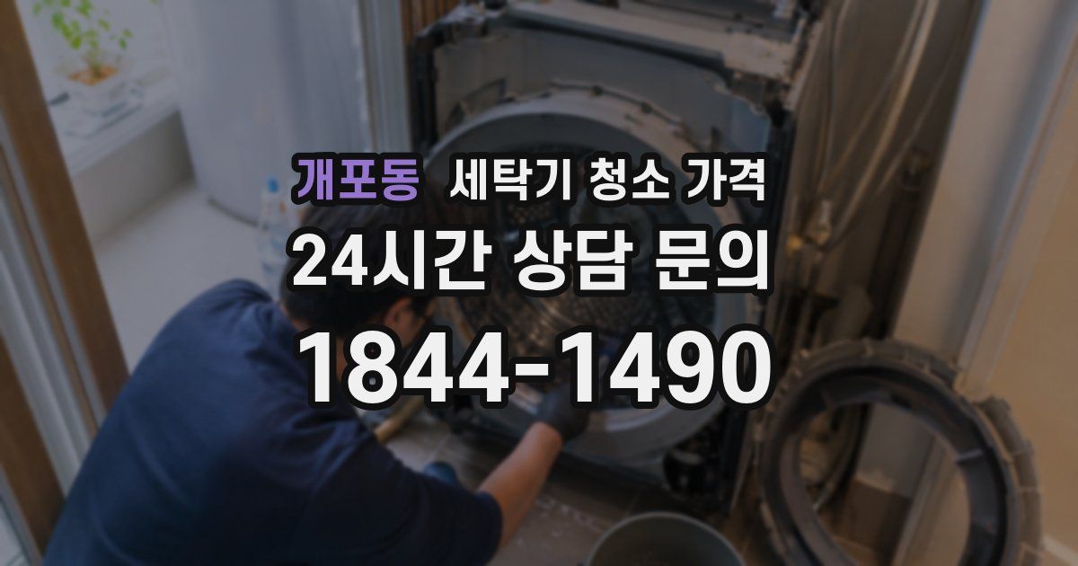 개포동 세탁기 청소 가격