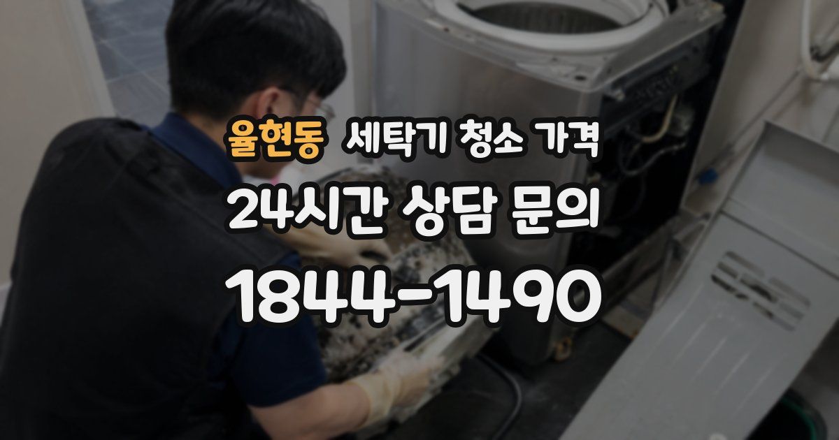 율현동 세탁기 청소 가격