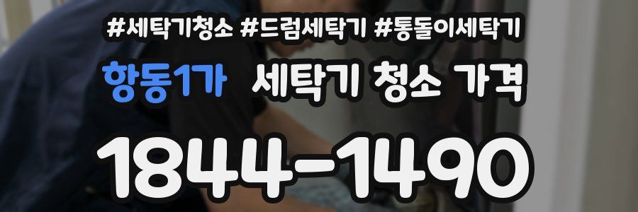 항동1가 세탁기 청소 가격
