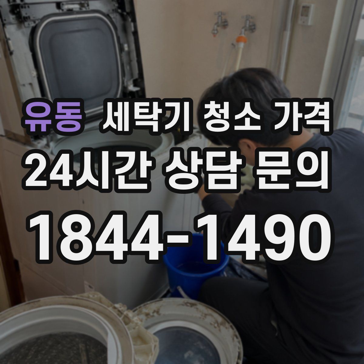 유동 세탁기 청소 가격