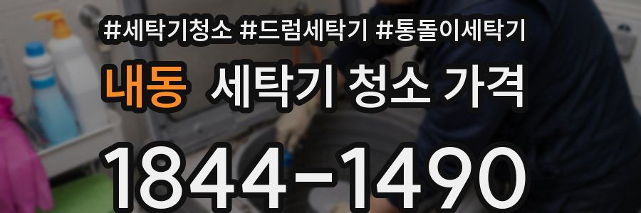 내동 세탁기 청소 가격