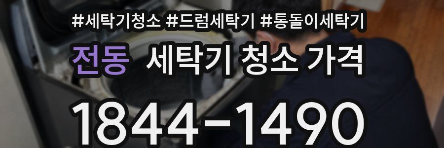 전동 세탁기 청소 가격