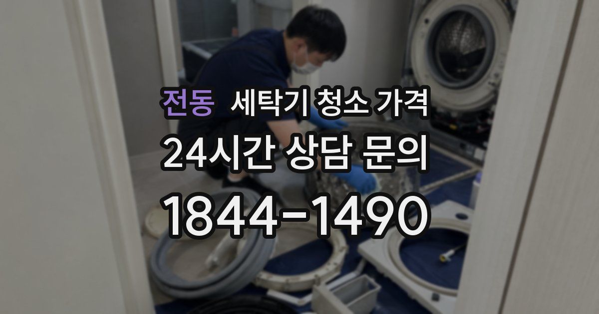 전동 세탁기 청소 가격