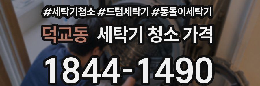 덕교동 세탁기 청소 가격