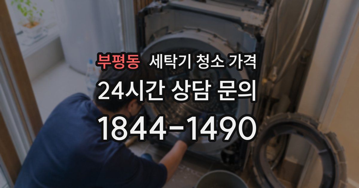 부평동 세탁기 청소 가격