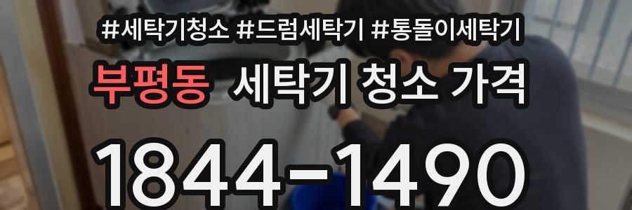 부평동 세탁기 청소 가격