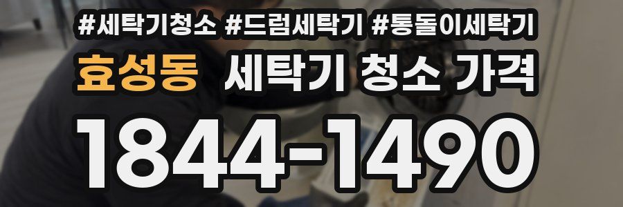 효성동 세탁기 청소 가격