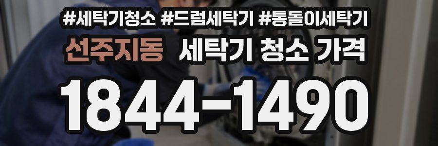 선주지동 세탁기 청소 가격