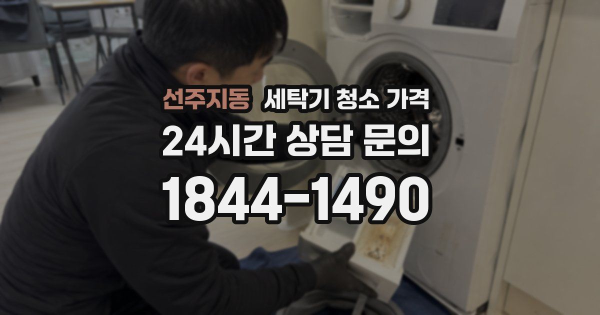 선주지동 세탁기 청소 가격