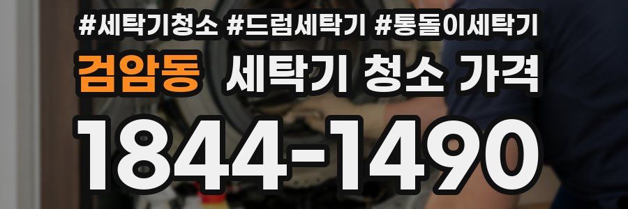 검암동 세탁기 청소 가격