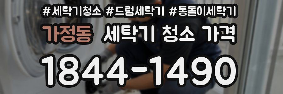 가정동 세탁기 청소 가격
