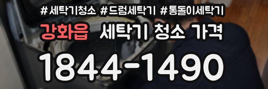강화읍 세탁기 청소 가격