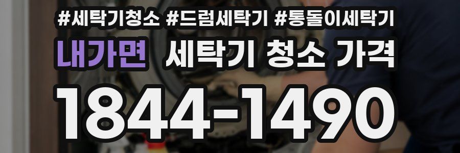 내가면 세탁기 청소 가격