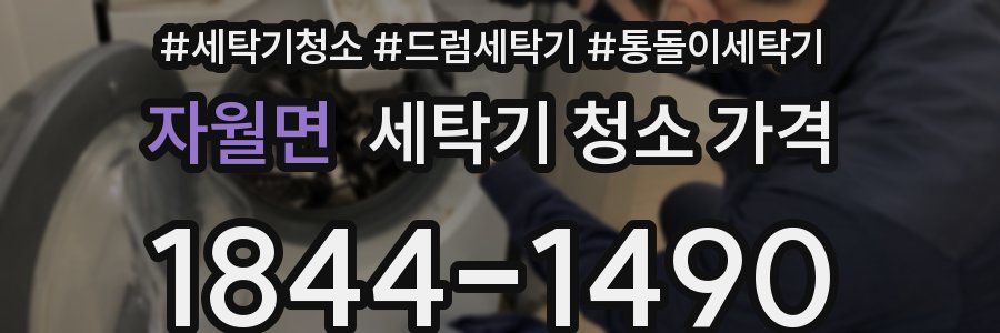 자월면 세탁기 청소 가격