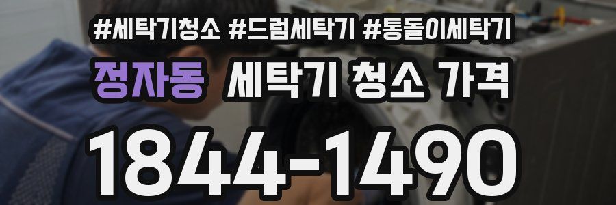 정자동 세탁기 청소 가격