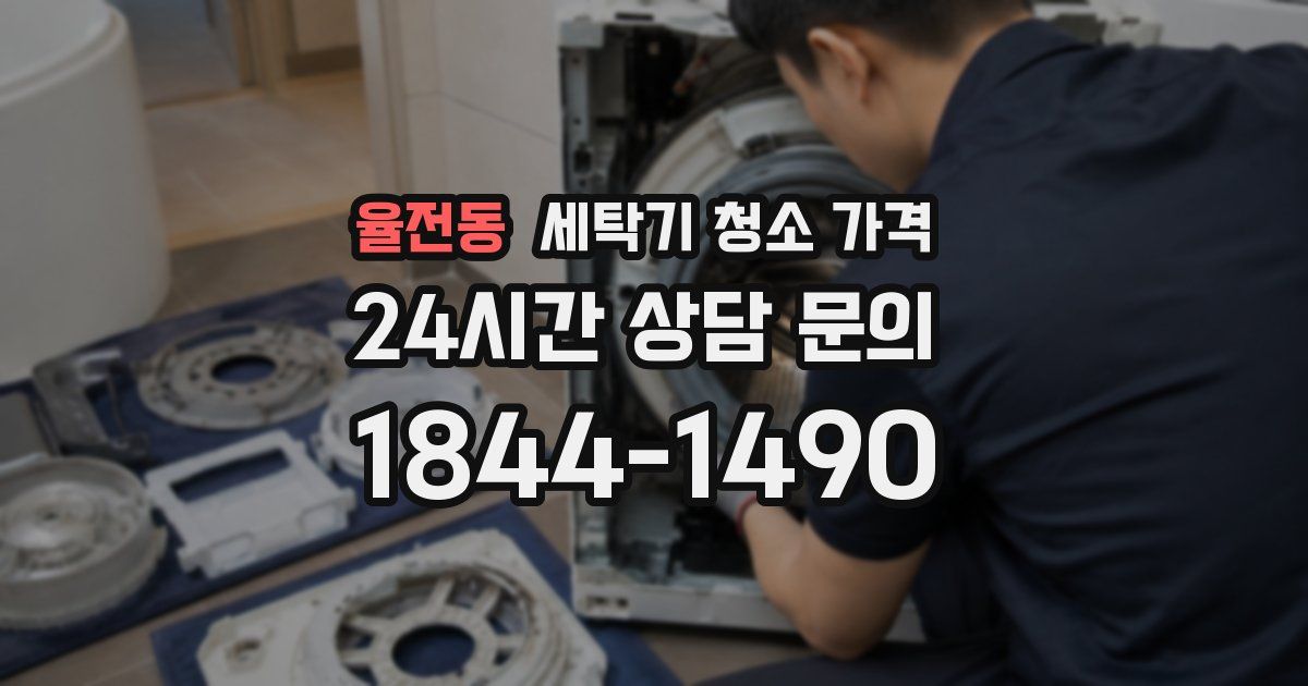 율전동 세탁기 청소 가격