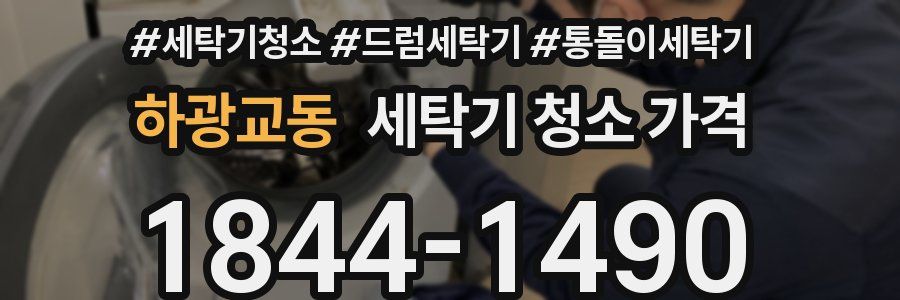 하광교동 세탁기 청소 가격