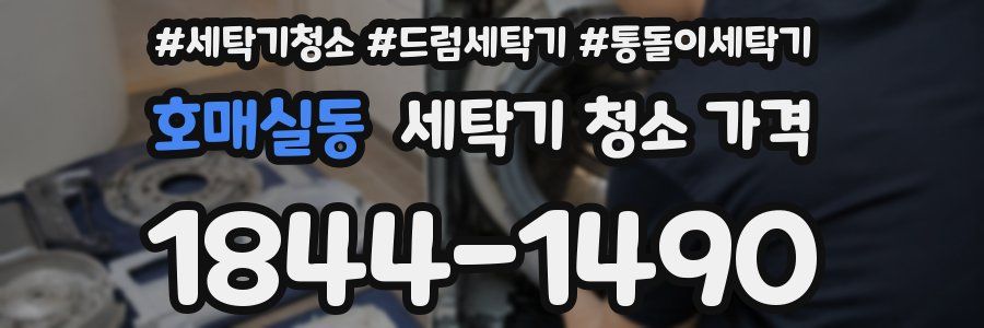 호매실동 세탁기 청소 가격