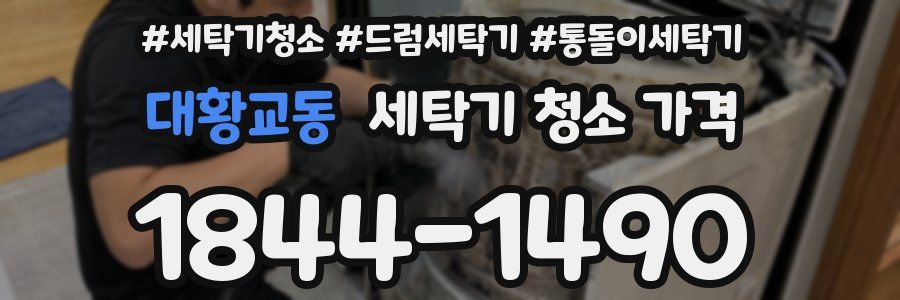 대황교동 세탁기 청소 가격