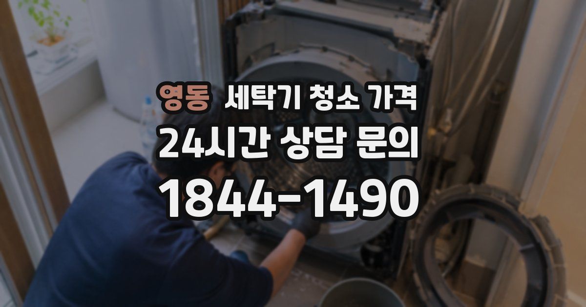 영동 세탁기 청소 가격