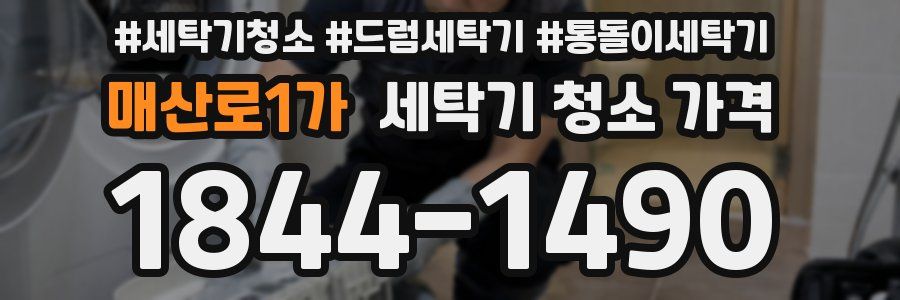 매산로1가 세탁기 청소 가격