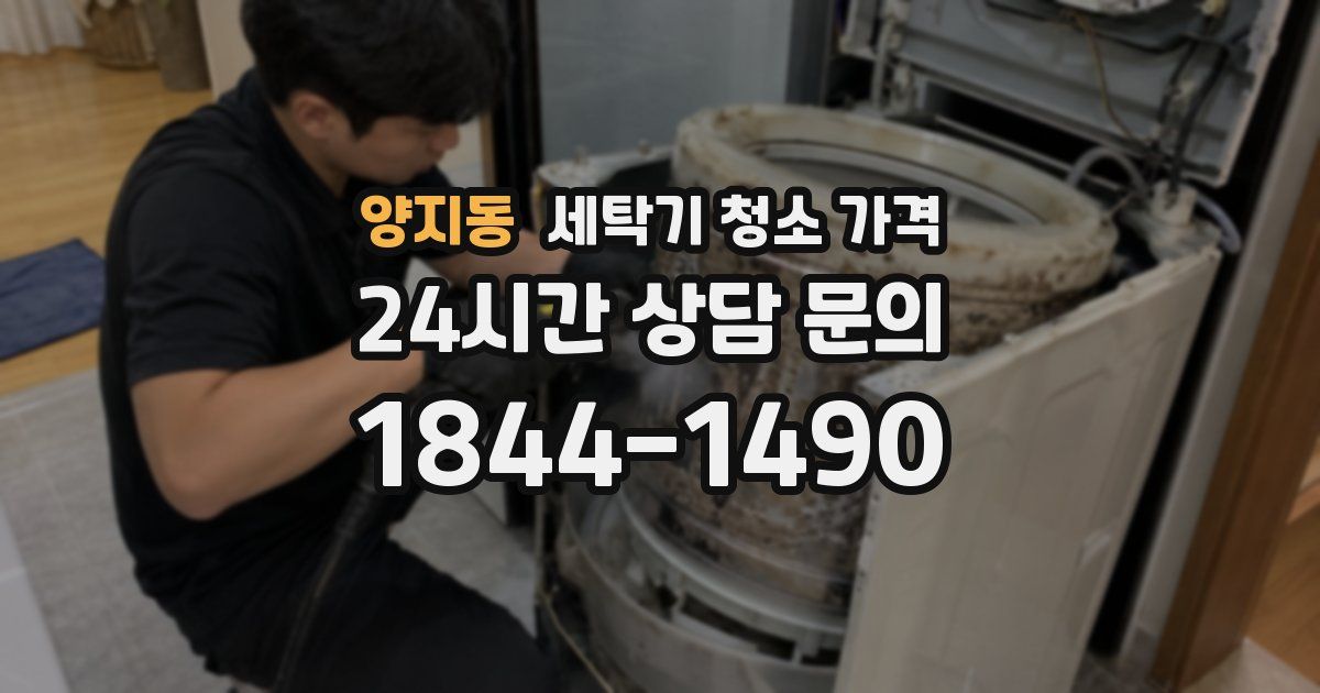 양지동 세탁기 청소 가격