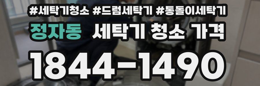 정자동 세탁기 청소 가격